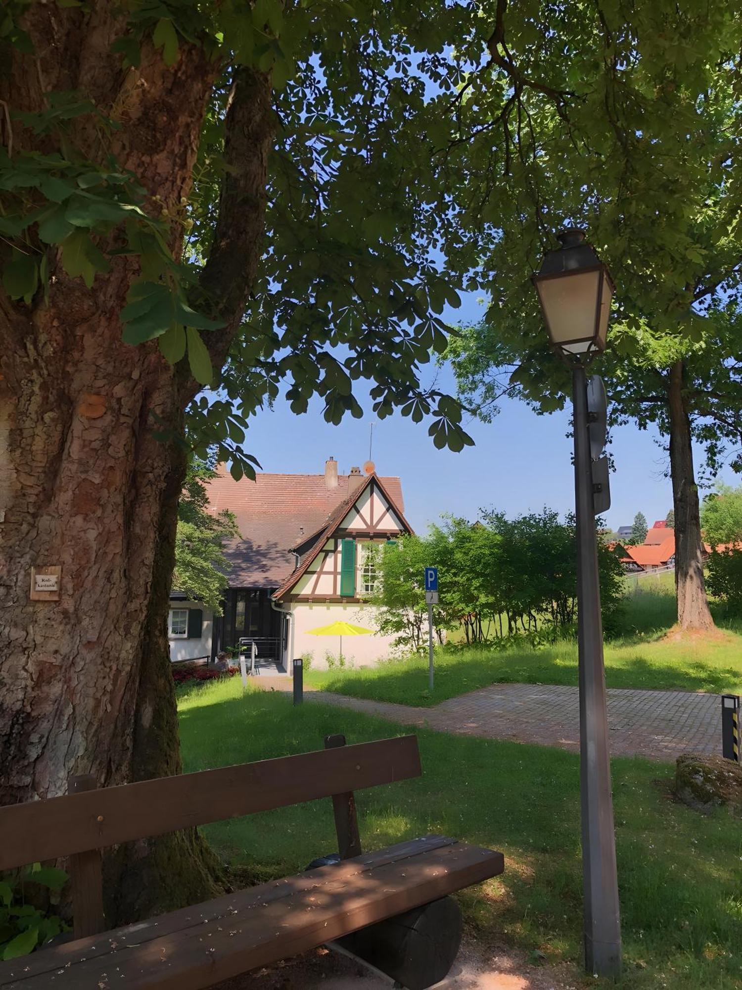 Ferienwohnung Am Keschtebaum, 70Qm * Sasbachwalden